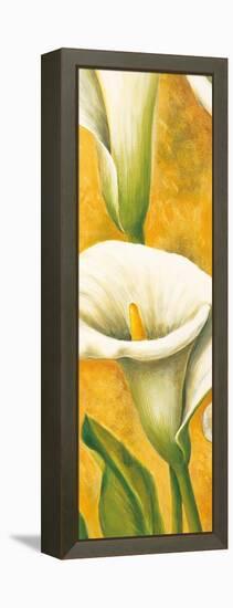 Concert de callas II-Pierre Viollet-Framed Stretched Canvas