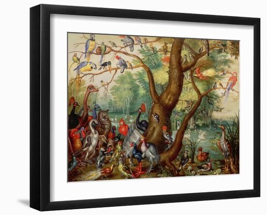 Concert of Birds-Jan Van, The Elder Kessel-Framed Giclee Print