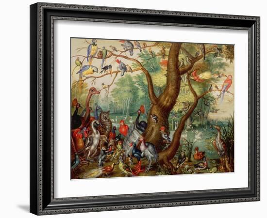 Concert of Birds-Jan Van, The Elder Kessel-Framed Giclee Print