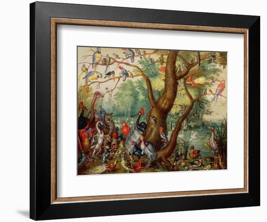 Concert of Birds-Jan Van, The Elder Kessel-Framed Giclee Print