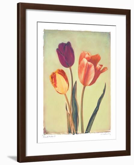 Concerto Verde I-Amy Melious-Framed Art Print