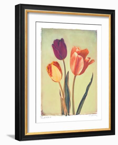 Concerto Verde I-Amy Melious-Framed Art Print