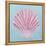 Conch and Scallop II-Ann Marie Coolick-Framed Stretched Canvas