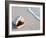 Conch Shell At Sunset, St. Martin, Caribbean-Michael DeFreitas-Framed Photographic Print