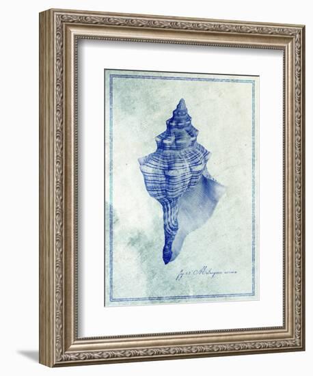 Conch Shell B-GI ArtLab-Framed Giclee Print