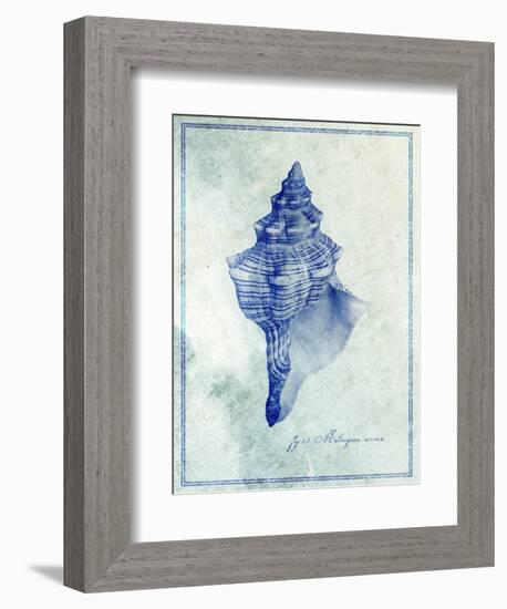 Conch Shell B-GI ArtLab-Framed Giclee Print