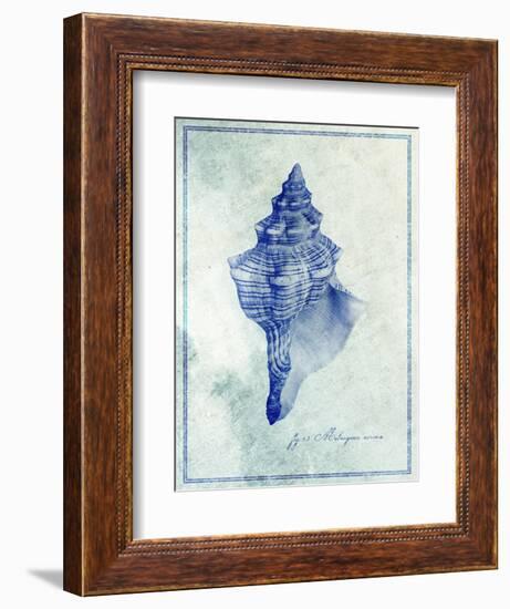 Conch Shell B-GI ArtLab-Framed Giclee Print