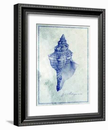 Conch Shell B-GI ArtLab-Framed Giclee Print