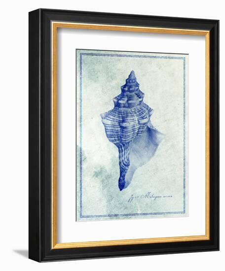 Conch Shell B-GI ArtLab-Framed Giclee Print