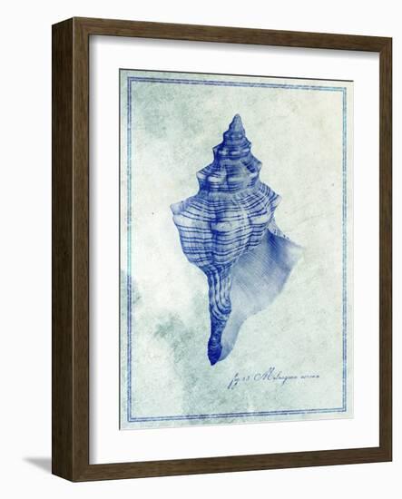 Conch Shell B-GI ArtLab-Framed Giclee Print