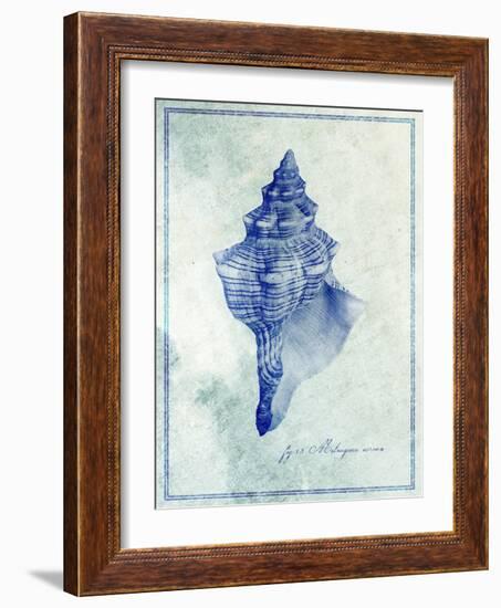 Conch Shell B-GI ArtLab-Framed Giclee Print