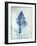 Conch Shell B-GI ArtLab-Framed Giclee Print