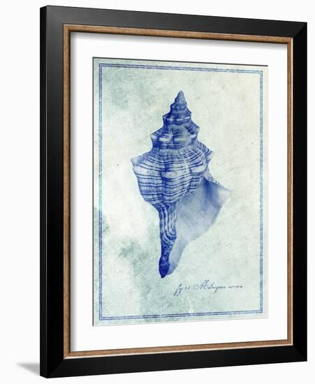 Conch Shell B-GI ArtLab-Framed Giclee Print