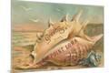 Premium Giclee Print