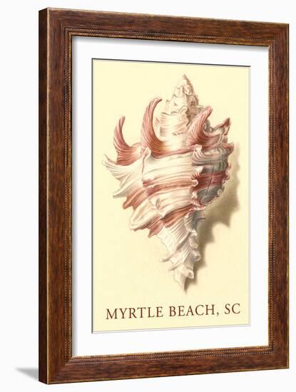 Conch Shell, Myrtle Beach-null-Framed Art Print