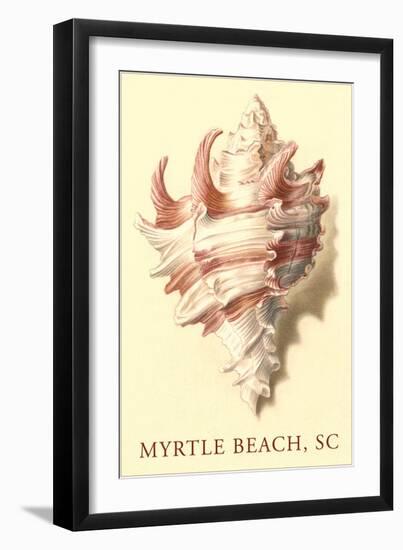 Conch Shell, Myrtle Beach-null-Framed Art Print