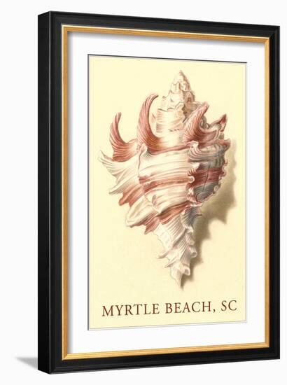 Conch Shell, Myrtle Beach-null-Framed Art Print