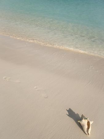 Food Delivery Providenciales Food Delivery Providenciales