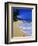 Conch Shell on Playa Grande Beach-Danny Lehman-Framed Photographic Print