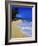 Conch Shell on Playa Grande Beach-Danny Lehman-Framed Photographic Print