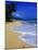 Conch Shell on Playa Grande Beach-Danny Lehman-Mounted Photographic Print