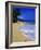 Conch Shell on Playa Grande Beach-Danny Lehman-Framed Photographic Print