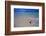 Conch Shell on Quiet Beach-Randy Faris-Framed Photographic Print