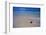 Conch Shell on Quiet Beach-Randy Faris-Framed Photographic Print