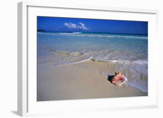 Conch Shell on Quiet Beach-Randy Faris-Framed Photographic Print