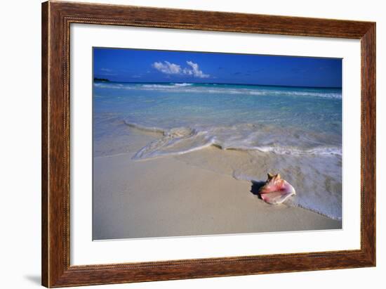 Conch Shell on Quiet Beach-Randy Faris-Framed Photographic Print