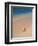 Conch Shell On The Seven Mile Beach-George Oze-Framed Photographic Print