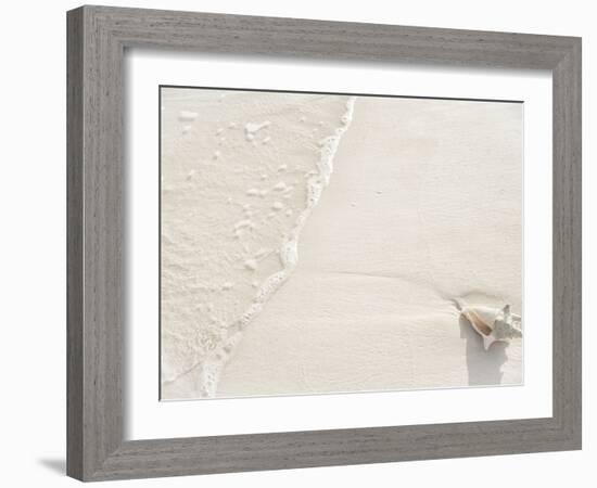 Conch Shell Washed Up on Grace Bay Beach, Providenciales, Turks and Caicos Islands, West Indies-Kim Walker-Framed Photographic Print