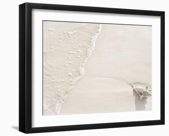 Conch Shell Washed Up on Grace Bay Beach, Providenciales, Turks and Caicos Islands, West Indies-Kim Walker-Framed Photographic Print