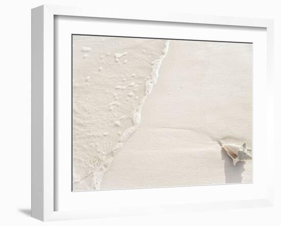 Conch Shell Washed Up on Grace Bay Beach, Providenciales, Turks and Caicos Islands, West Indies-Kim Walker-Framed Photographic Print