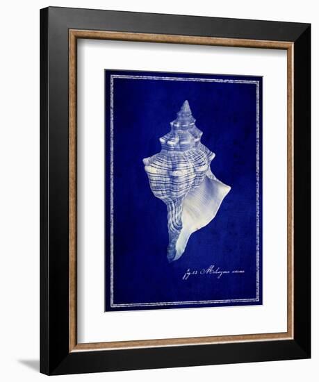 Conch Shell-GI ArtLab-Framed Giclee Print