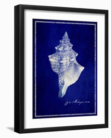 Conch Shell-GI ArtLab-Framed Giclee Print