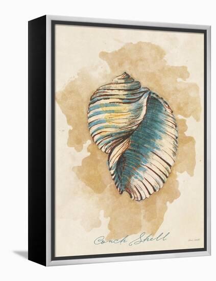 Conch Shell-Lanie Loreth-Framed Stretched Canvas