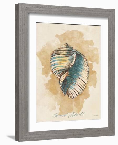 Conch Shell-Lanie Loreth-Framed Art Print