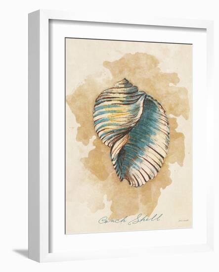 Conch Shell-Lanie Loreth-Framed Art Print