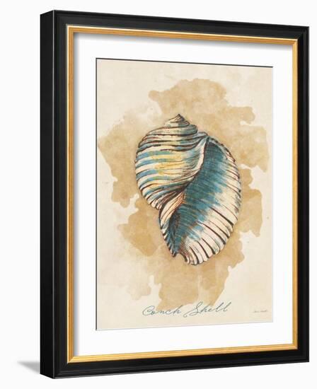 Conch Shell-Lanie Loreth-Framed Art Print