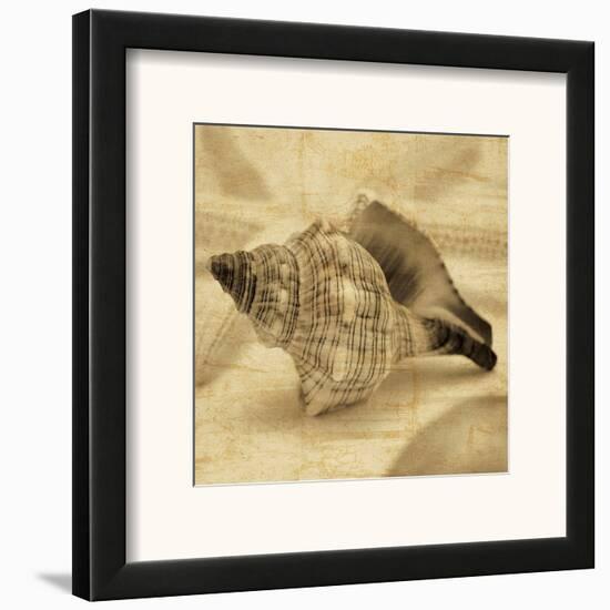 Conch-John Seba-Framed Art Print