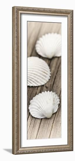 Conches on Wood-Uwe Merkel-Framed Photographic Print