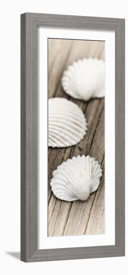 Conches on Wood-Uwe Merkel-Framed Photographic Print
