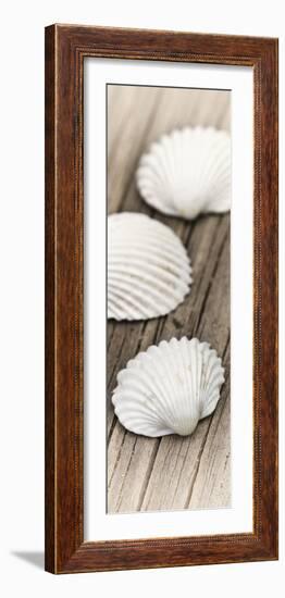 Conches on Wood-Uwe Merkel-Framed Photographic Print