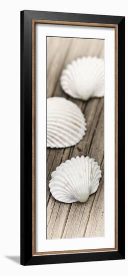 Conches on Wood-Uwe Merkel-Framed Photographic Print