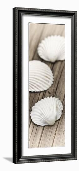 Conches on Wood-Uwe Merkel-Framed Photographic Print