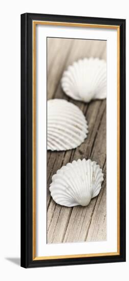 Conches on Wood-Uwe Merkel-Framed Photographic Print