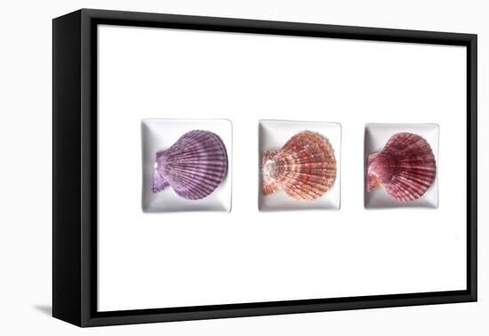 Conches-Uwe Merkel-Framed Premier Image Canvas