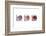 Conches-Uwe Merkel-Framed Photographic Print