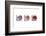 Conches-Uwe Merkel-Framed Photographic Print